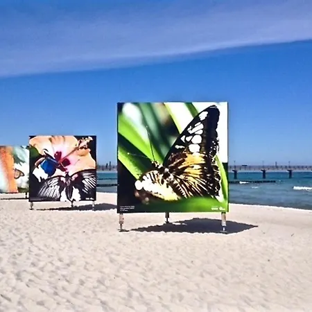 Neue Reihe 28 - Kleine Auszeit Ostseeheilbad Zingst